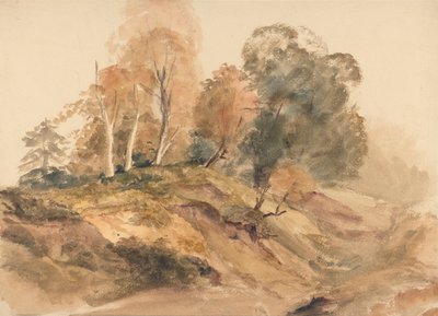 Alberi su una riva da Peter de Wint